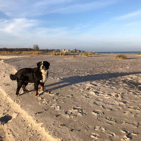 Ferienwohnung „Die Koje“ Hohwacht/Ostsee Eksteriør billede