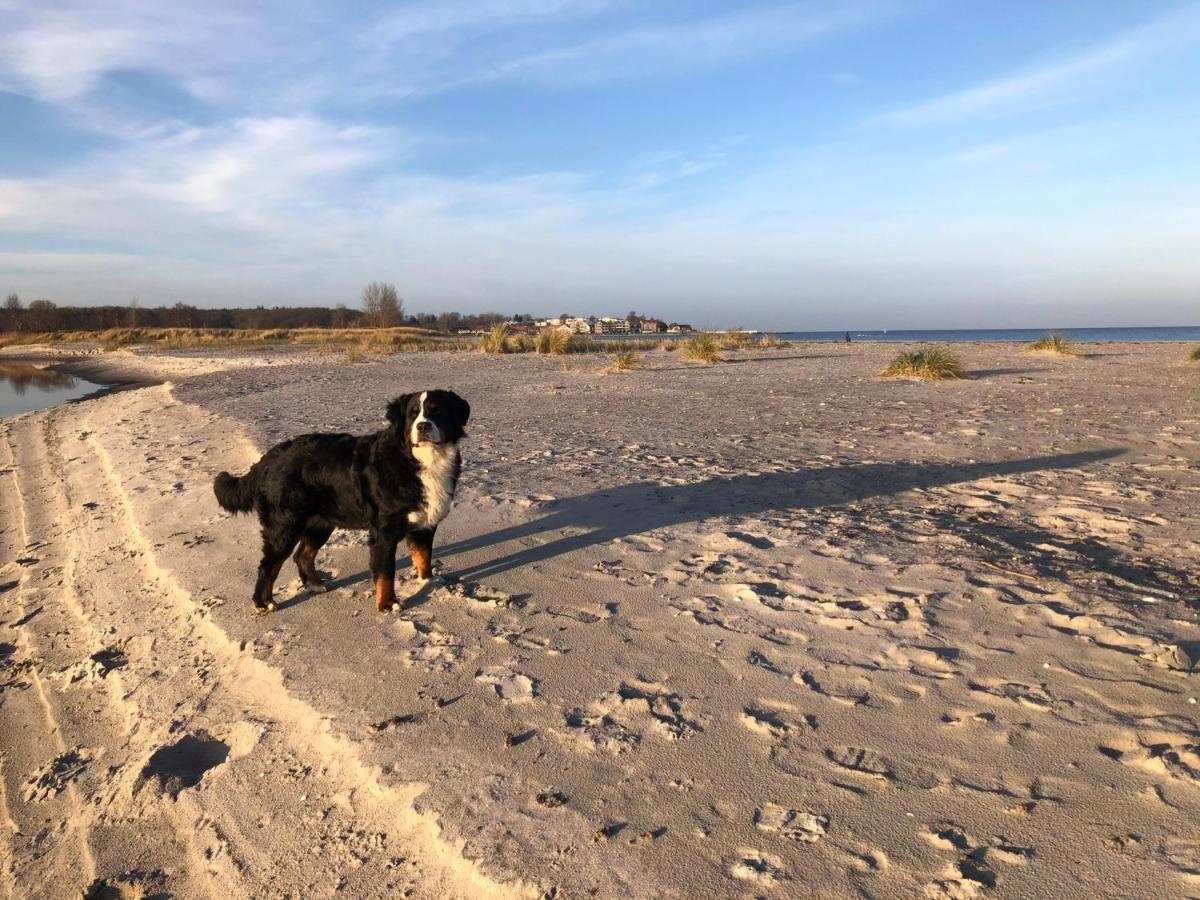 „die Koje“ Hohwacht/ostsee *